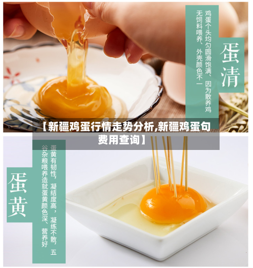 【新疆鸡蛋行情走势分析,新疆鸡蛋句费用查询】-第2张图片