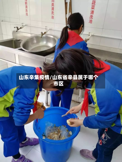 山东辛集疫情/山东省辛县属于哪个市区-第1张图片