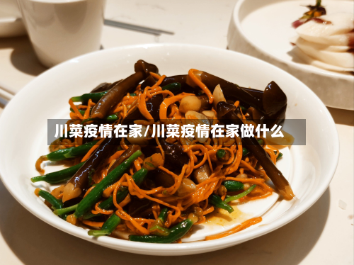 川菜疫情在家/川菜疫情在家做什么-第1张图片