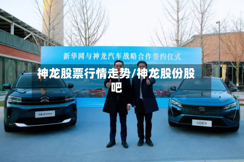 神龙股票行情走势/神龙股份股吧-第1张图片