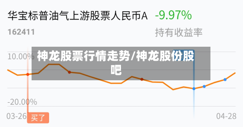 神龙股票行情走势/神龙股份股吧-第2张图片