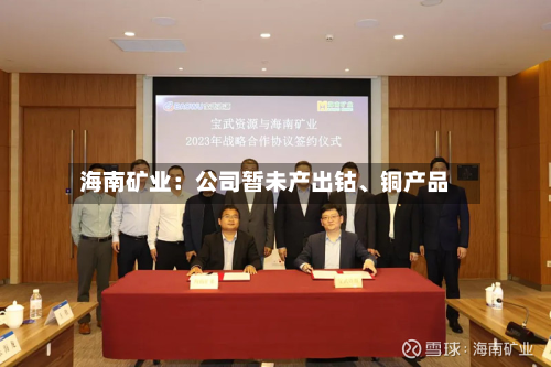 海南矿业：公司暂未产出钴	、铜产品-第1张图片