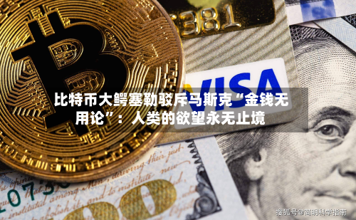 比特币大鳄塞勒驳斥马斯克“金钱无用论	”：人类的欲望永无止境-第2张图片