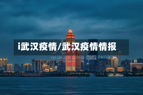 i武汉疫情/武汉疫情情报-第1张图片