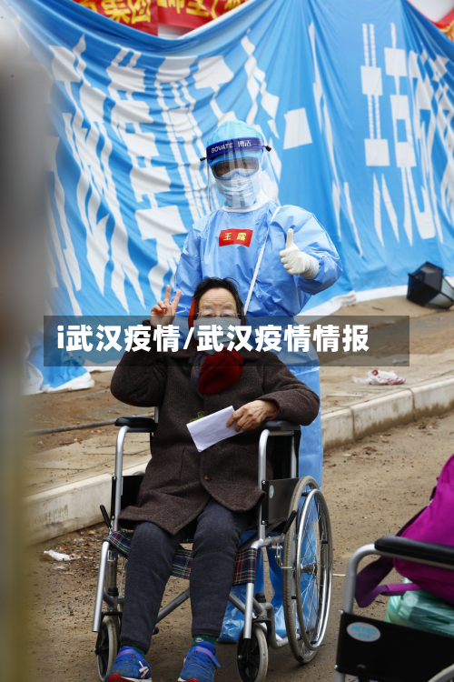 i武汉疫情/武汉疫情情报-第2张图片