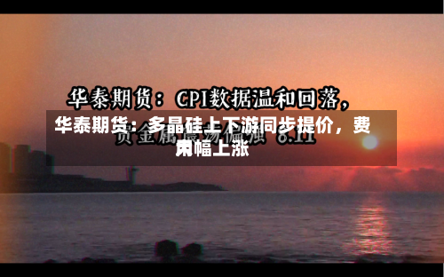 华泰期货：多晶硅上下游同步提价，费用大幅上涨-第1张图片