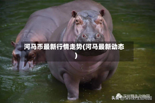 河马币最新行情走势(河马最新动态)-第3张图片