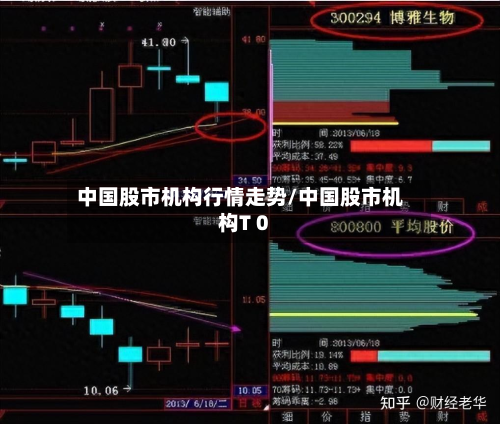 中国股市机构行情走势/中国股市机构T 0-第2张图片