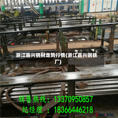 浙江嘉兴钢材走势行情(浙江嘉兴钢铁厂)-第1张图片