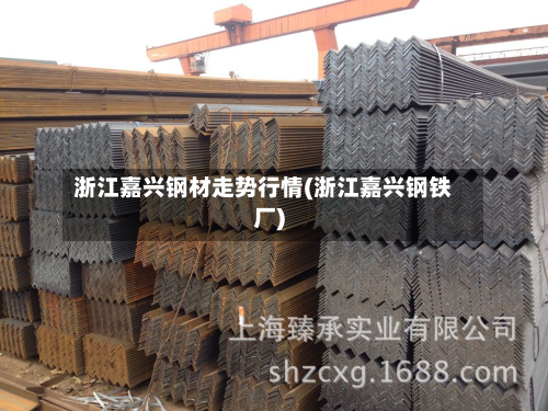 浙江嘉兴钢材走势行情(浙江嘉兴钢铁厂)-第3张图片
