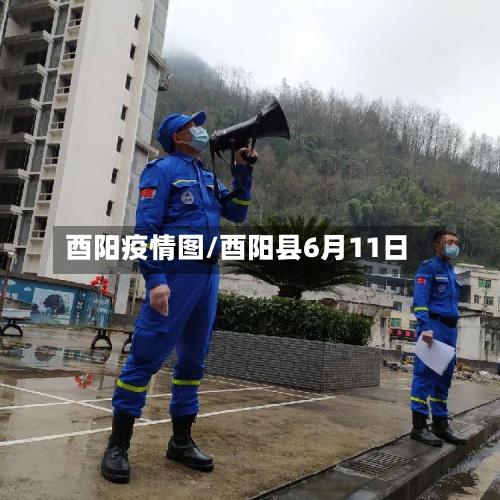 酉阳疫情图/酉阳县6月11日-第2张图片