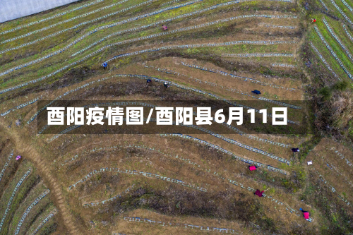酉阳疫情图/酉阳县6月11日-第1张图片