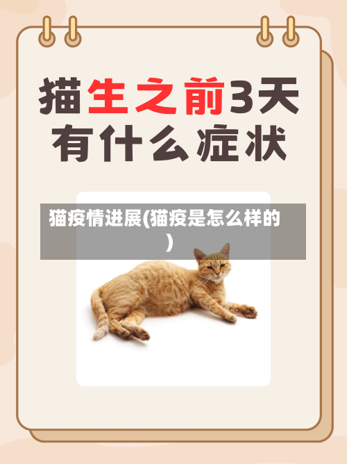 猫疫情进展(猫疫是怎么样的)-第3张图片