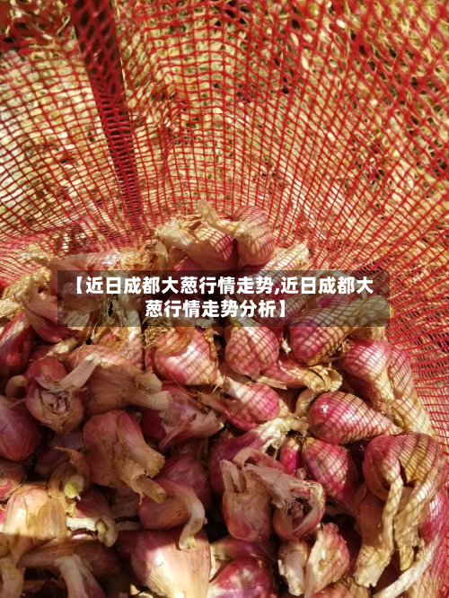 【近日成都大葱行情走势,近日成都大葱行情走势分析】-第1张图片