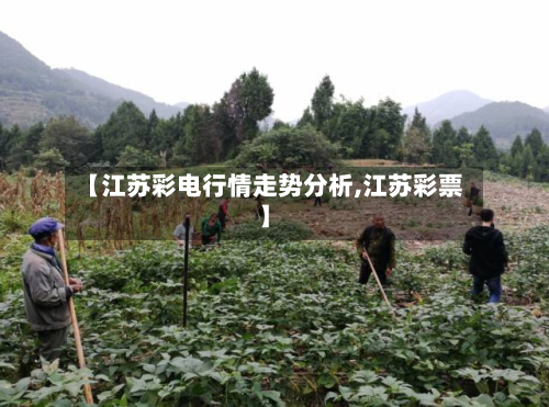 【江苏彩电行情走势分析,江苏彩票】-第1张图片