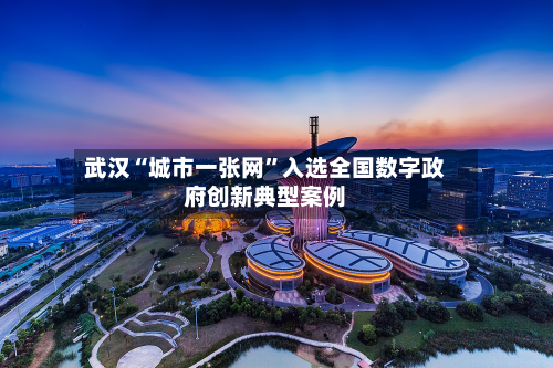 武汉“城市一张网”入选全国数字政府创新典型案例-第1张图片