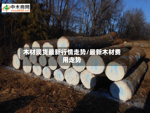 木材现货最新行情走势/最新木材费用走势-第3张图片