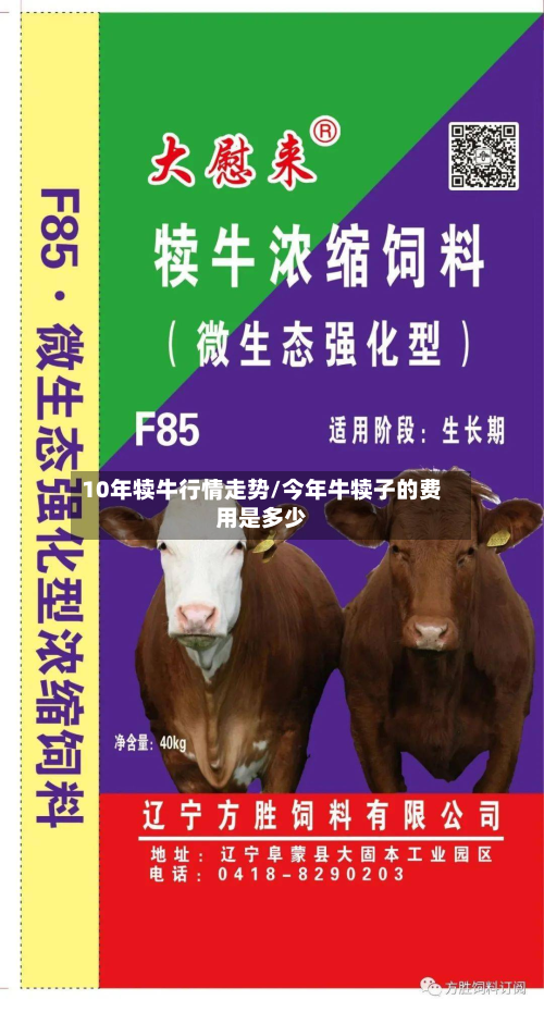 10年犊牛行情走势/今年牛犊子的费用是多少-第1张图片
