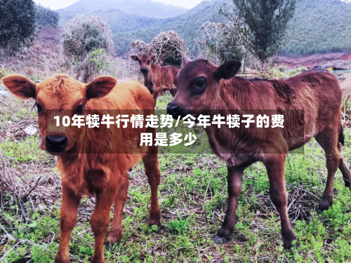 10年犊牛行情走势/今年牛犊子的费用是多少-第2张图片
