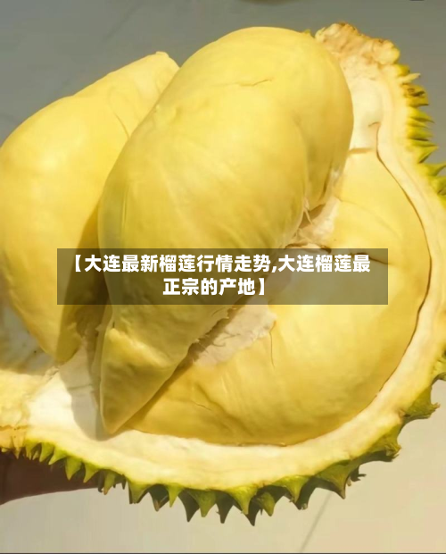 【大连最新榴莲行情走势,大连榴莲最正宗的产地】-第2张图片