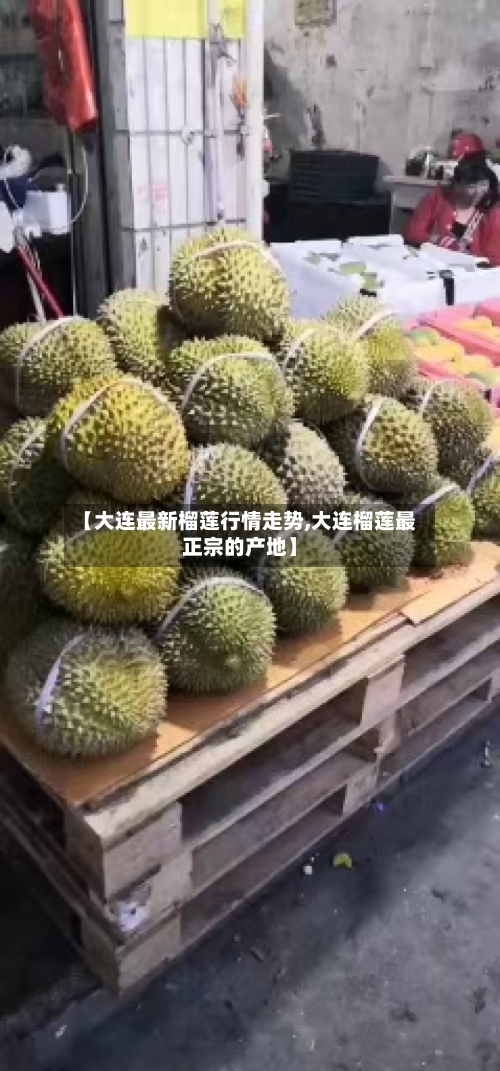 【大连最新榴莲行情走势,大连榴莲最正宗的产地】-第1张图片