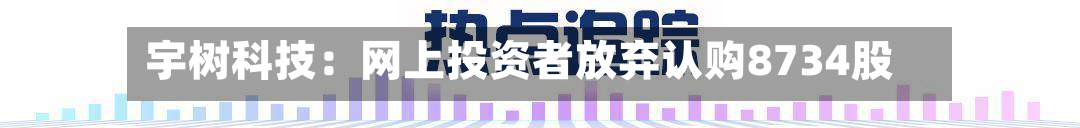 宇树科技：网上投资者放弃认购8734股-第2张图片
