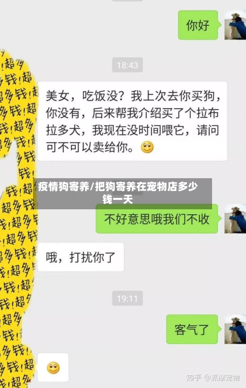 疫情狗寄养/把狗寄养在宠物店多少钱一天-第2张图片