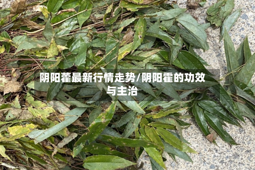 阴阳藿最新行情走势/阴阳霍的功效与主治-第2张图片