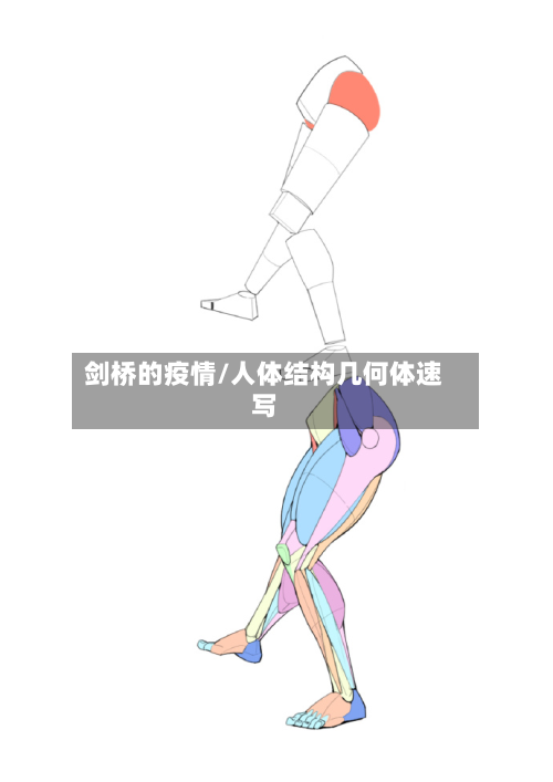 剑桥的疫情/人体结构几何体速写-第3张图片