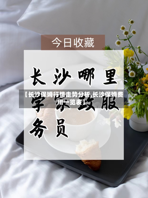 【长沙保姆行情走势分析,长沙保姆费用一览表】-第1张图片