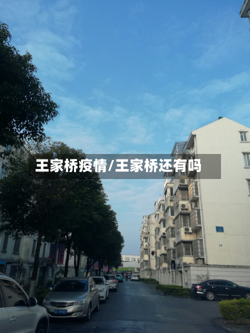 王家桥疫情/王家桥还有吗-第2张图片