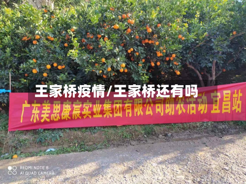 王家桥疫情/王家桥还有吗-第3张图片