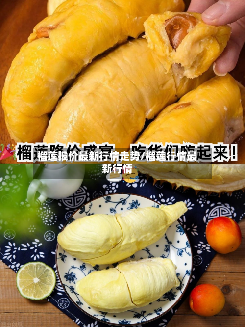 榴莲报价最新行情走势/榴莲行情最新行情-第1张图片
