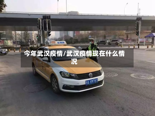 今年武汉疫情/武汉疫情现在什么情况-第2张图片