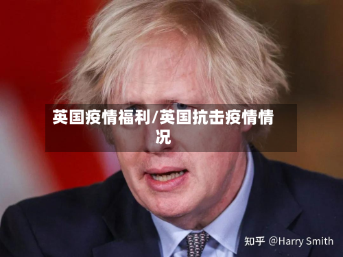 英国疫情福利/英国抗击疫情情况-第2张图片