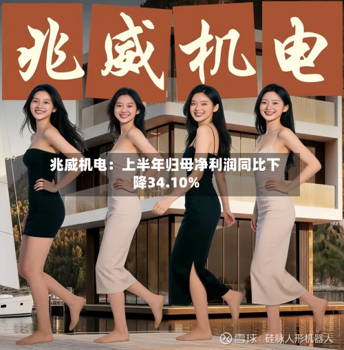 兆威机电:上半年归母净利润同比下降34.10%-第2张图片