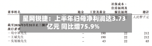 星网锐捷：上半年归母净利润达3.73亿元 同比增75.9%-第2张图片