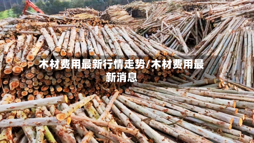 木材费用最新行情走势/木材费用最新消息-第3张图片