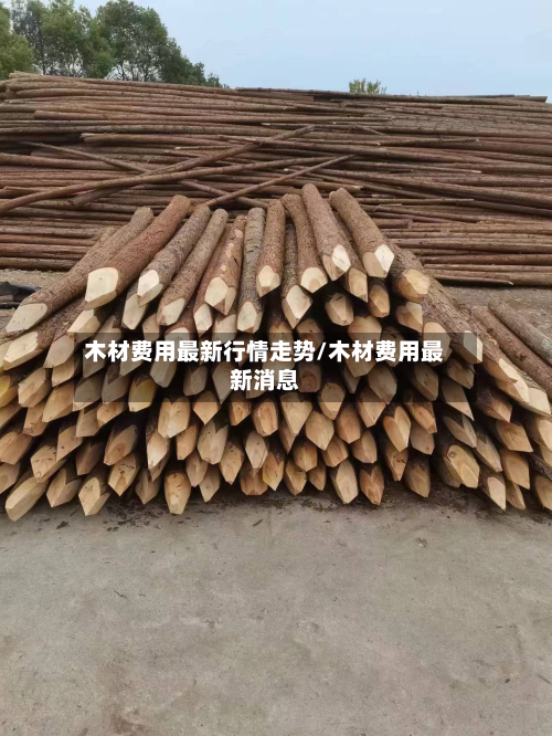 木材费用最新行情走势/木材费用最新消息-第1张图片
