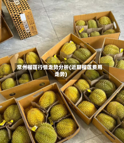 常州榴莲行情走势分析(近期榴莲费用走势)-第2张图片