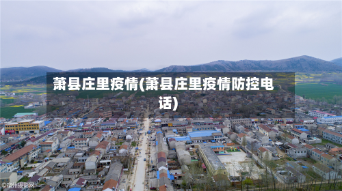 萧县庄里疫情(萧县庄里疫情防控电话)-第2张图片