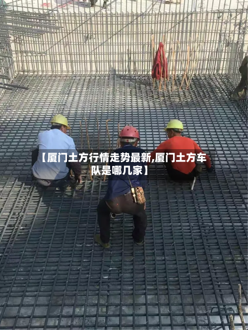 【厦门土方行情走势最新,厦门土方车队是哪几家】-第2张图片