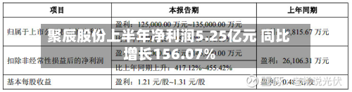 聚辰股份上半年净利润5.25亿元 同比增长156.07%-第2张图片