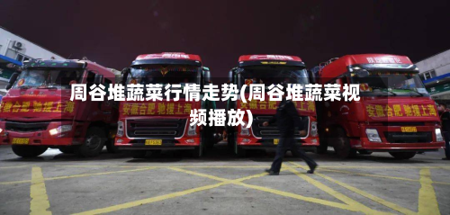 周谷堆蔬菜行情走势(周谷堆蔬菜视频播放)-第3张图片