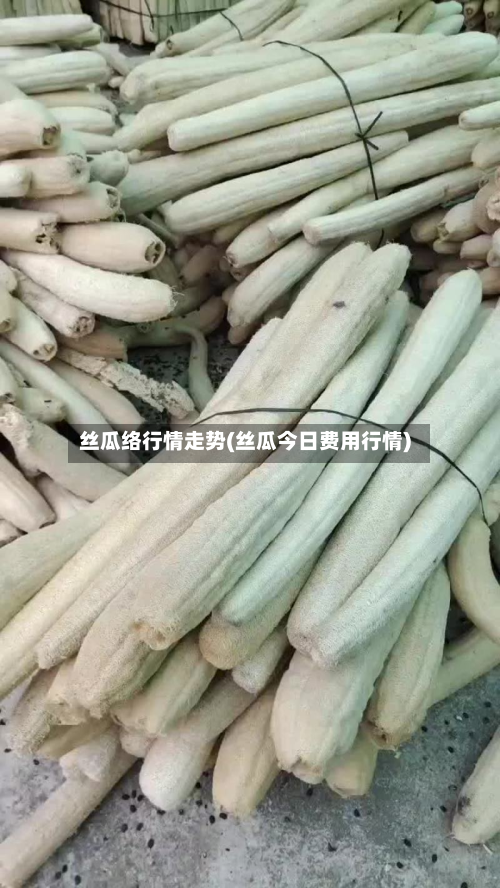 丝瓜络行情走势(丝瓜今日费用行情)-第1张图片