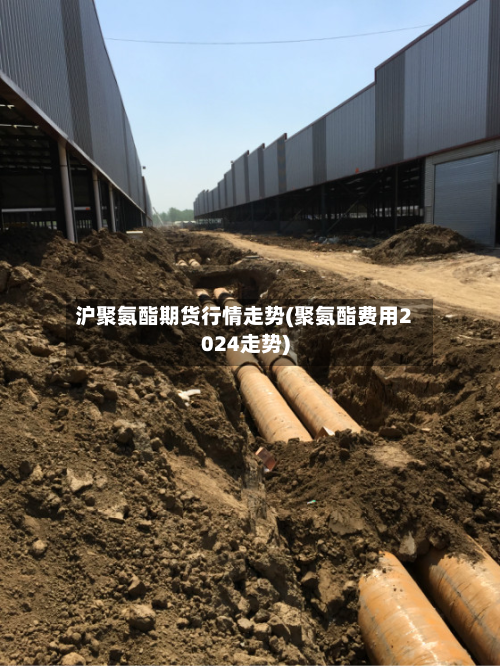 沪聚氨酯期货行情走势(聚氨酯费用2024走势)-第2张图片
