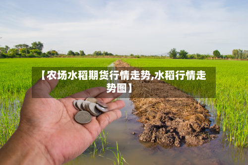 【农场水稻期货行情走势,水稻行情走势图】-第2张图片