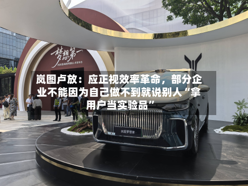 岚图卢放：应正视效率革命	，部分企业不能因为自己做不到就说别人“拿用户当实验品”-第2张图片