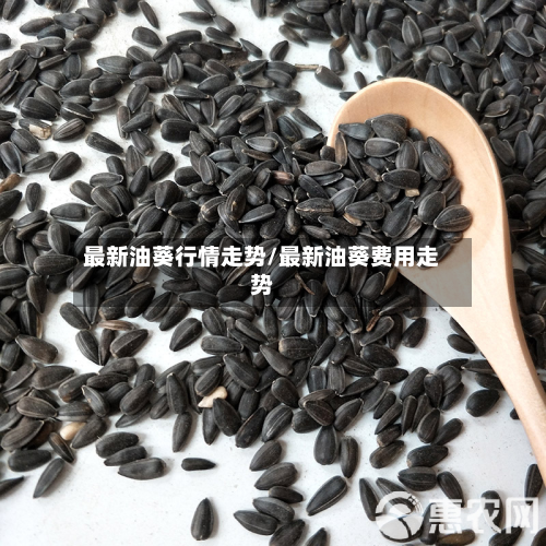 最新油葵行情走势/最新油葵费用走势-第2张图片