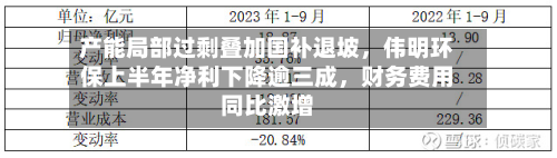 产能局部过剩叠加国补退坡	，伟明环保上半年净利下降逾三成，财务费用同比激增-第1张图片